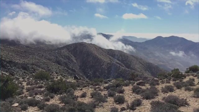 Joshua Tree National Park Is Open for Visitors