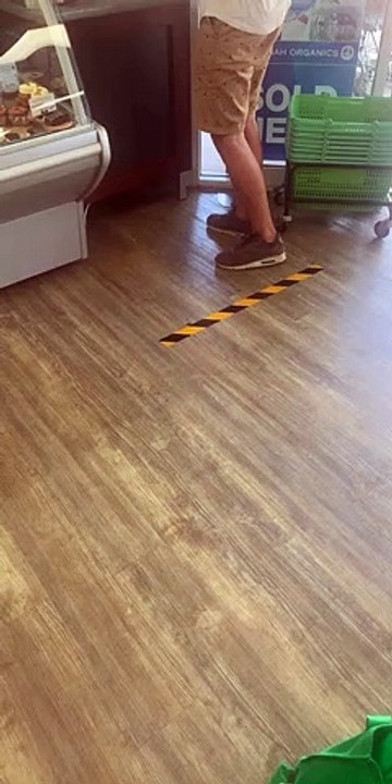 Dog Politely Maintains Social Distancing Regulations