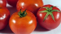 Science Settles Debate On How To Store Your Tomatoes