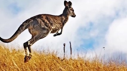 Top 20 fact about nature in good way nature take to high 