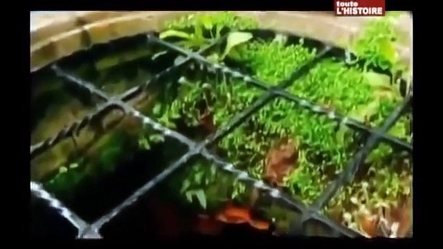 Les secrets du Saint Graal - Documentaire français 2020