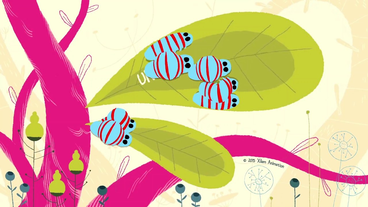 Flapacha | Colonie de Vacances  | Dessin animé HD