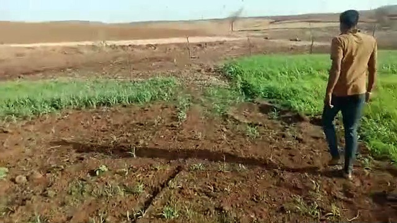 tiddi attack