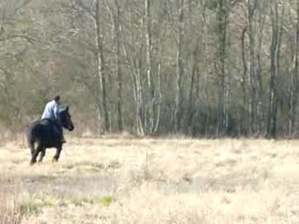 Trot2