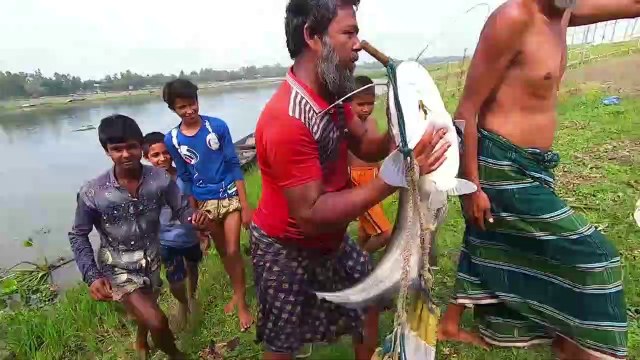 Best Fishing Video ! Catching Amazing Fish With Catch Net !