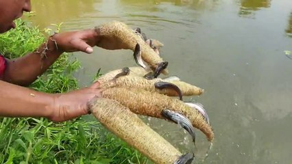 Build A Unique Fish Trap - Best Fishing Knowledge - Short and Entertainment Video -