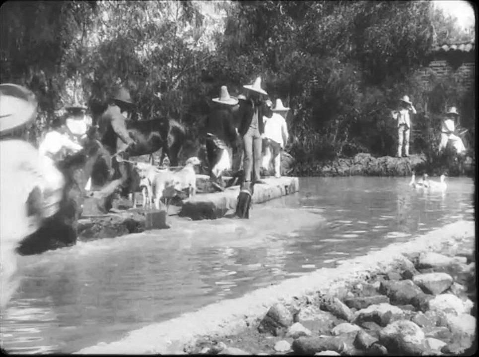 Baignade de chevaux (El baño de los caballos) [1896]