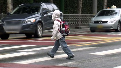 [앵커리포트] '과잉처벌' vs '과한 우려'...민식이법 논란, 이유는? / YTN