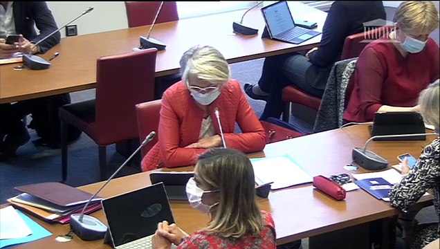 Commission des affaires sociales : Amélioration des droits des travailleurs et accompagnement des familles après le décès d’un enfant - Mercredi 20 mai 2020
