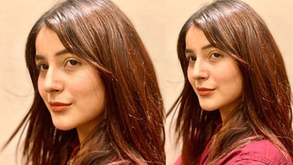 Shehnaz Gill ने Share की ये नई फोटो और फैंस से कही ये बात, फोटो में Shehnaz दिखी गंभीर | FilmiBeat