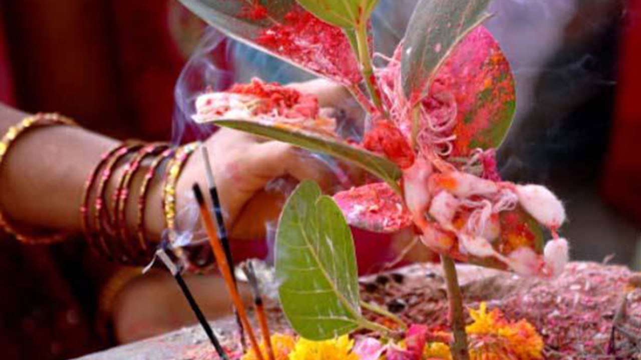 Vat Savitri Puja Vidhi |Vat Savitri Puja 2020 |वट सावित्री पूजा 2020 |वट सावित्री पूजा विधि |Boldsky