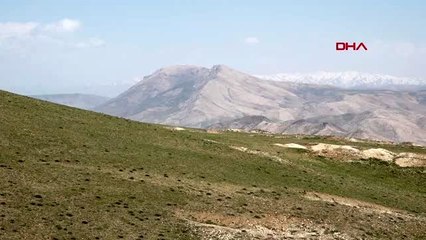 Video herunterladen: VAN PANDEMİ SÜRECİNDE KAÇAK GÖÇMEN SAYISINDA REKOR DÜŞÜŞ YAŞANDI