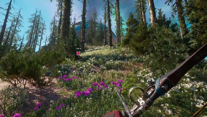 Far Cry New Dawn Avant-Poste Signal Niv 1 (FR)