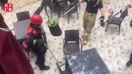 Télécharger la video: İstanbul’un göbeğinde yılan paniği