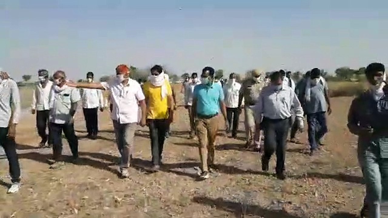 नागौर जिले में घुसे टिड्डी दल पर कीटनाशक का छिड़काव