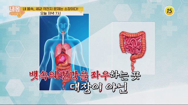 내 몸속, 세균 격전지 문제는 소장이다!_내 몸 사용설명서 303회 예고