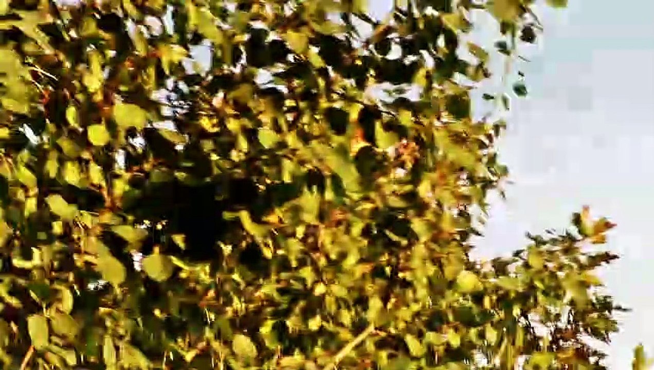 KölnBonn Bahn 06 Starten – 2