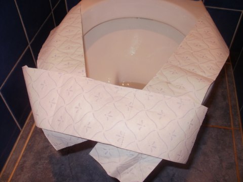 Pourquoi il ne faut jamais poser de papier sur la cuvette des toilettes publiques