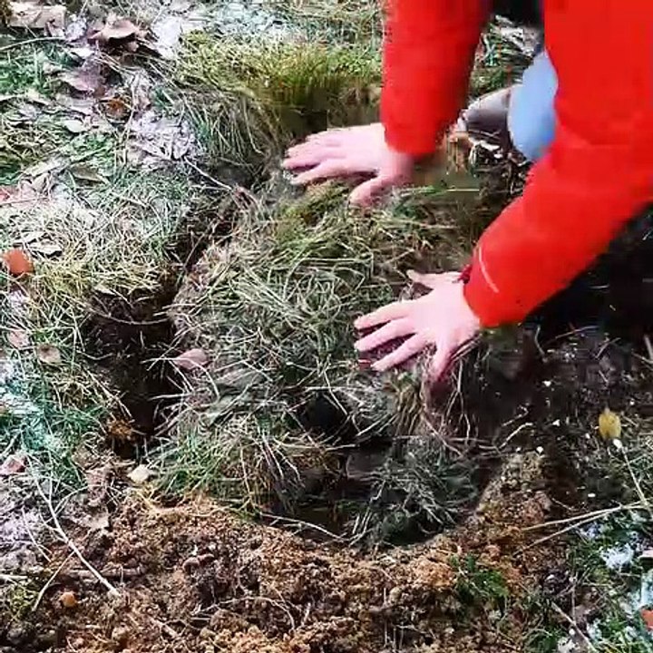 25 CLEVER WAYS TO PRESERVE FOOD -- EGG IDEAS, COOKING HACKS AND KITCHEN TRICKS