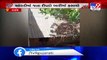 Leopard enters house in Dahod, rescued _ Tv9GujaratiNews