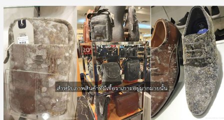 ชัวร์ก่อนแชร์ FACTSHEET : ต้องระวังเชื้อราในห้างฯ ที่ปิดนานๆ จริงหรือ ?