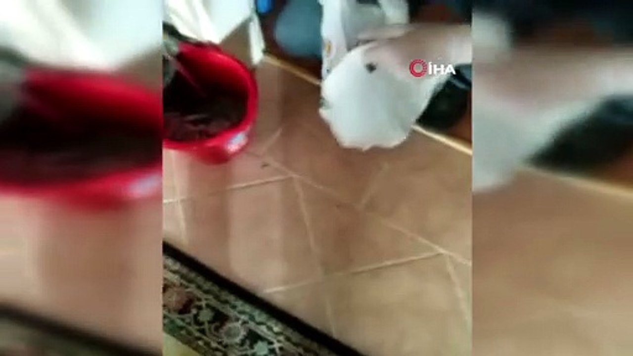 Evde esrar yetiştirip mahallelerindeki kullanıcılara sattılar