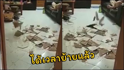 กระเบื้องหรือป๊อปคอร์น ? เจ้าของบ้านนั่งงง อยู่ ๆ พื้นกระเบื้องปะทุ อย่างกับป๊อปคอร์น