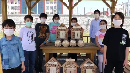 Sokağa çıkamayan öğrenciler, böcekler için ev yaptı