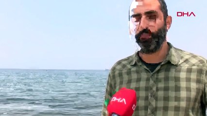 Ege Denizi'nde görülen 25 yıllık sürprizde 'Koronavirüs' etkisi