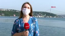 İstanbul Boğazı'nda binlerce balık kıyıya geldi