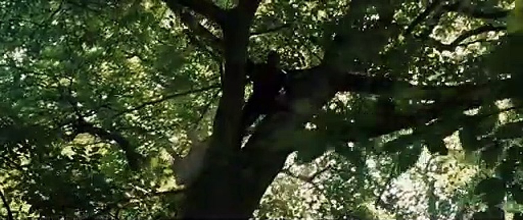 Robin Hood - Trailer