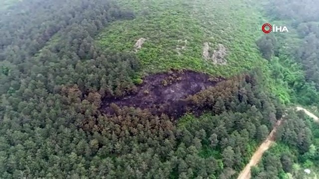 Aydosta yanan ormanlık alan havadan görüntülendi