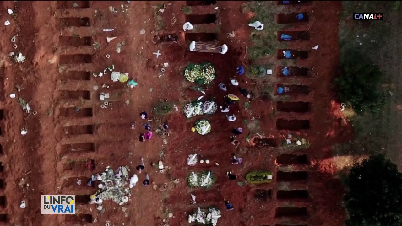 Tour du monde de l'épidémie : Inde, Russie, Etats-Unis, Brésil