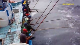 Amazing Fast Tuna Fishing Skill Catching Fish Big  on The Sea