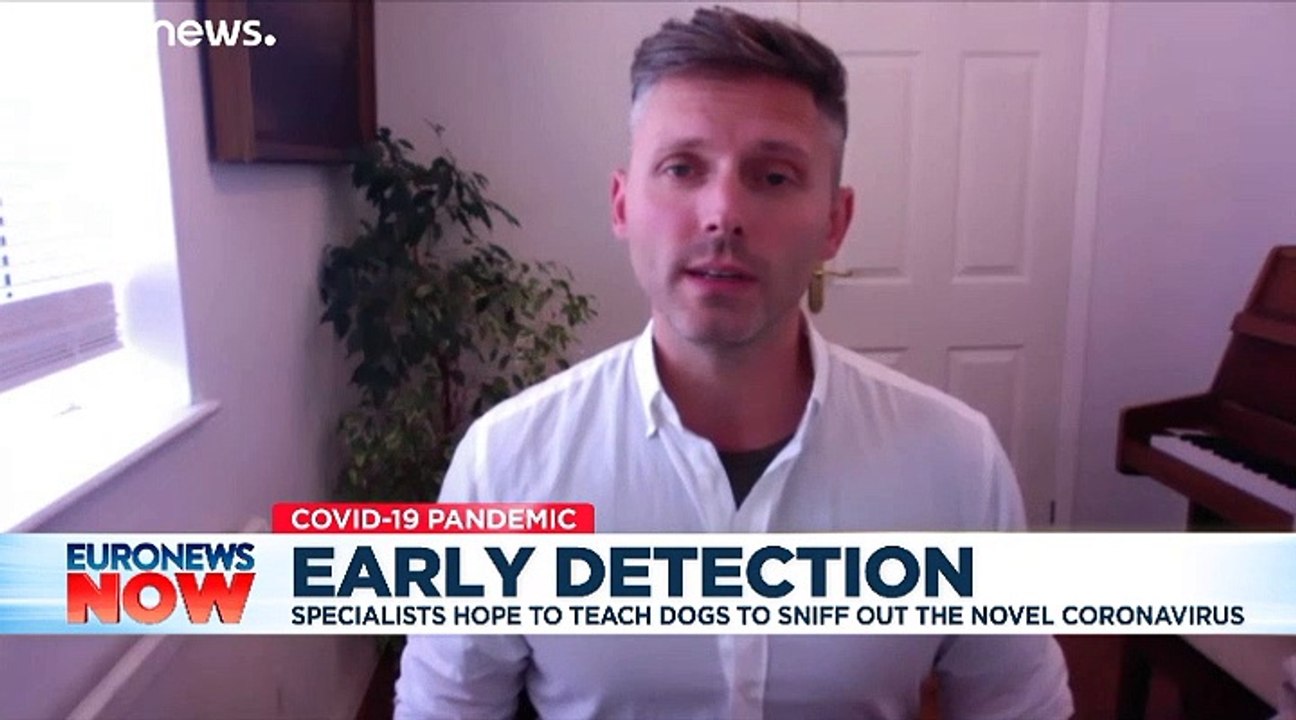 Release the hounds: UK deploys dogs to sniff out coronavirus