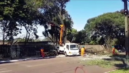 Video herunterladen: Trecho da Rua da Bandeira está interditado para a poda de árvores