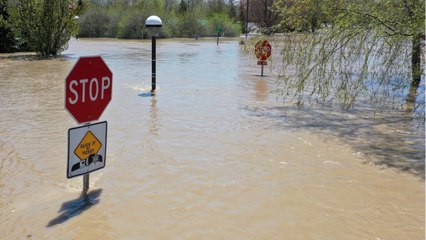 Michigan Town Submerged Under 5 Feet of Water