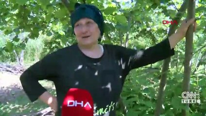 Çaydan sonra fındıkta işçi endişesi