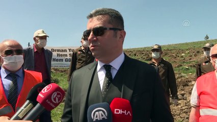 Fedakar sağlık kahramanları için 'hatıra ormanı' oluşturuldu - ERZURUM