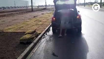 Grama furtada é devolvida em obra na Serra