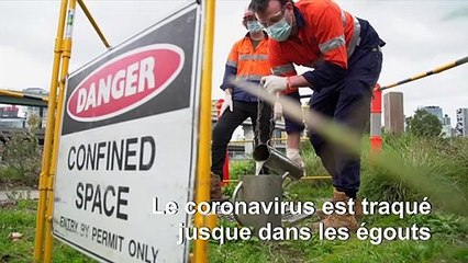 En Australie, le coronavirus est traqué jusque dans les égouts
