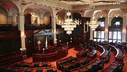 Illinois State House Votes Republican Rep Out of Session After He Refuses to Wear Face Mask