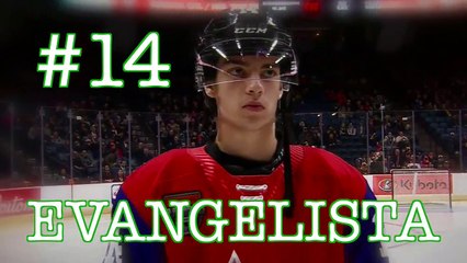 OHL Highlight Reel | Luke Evangelista | 2019-2020