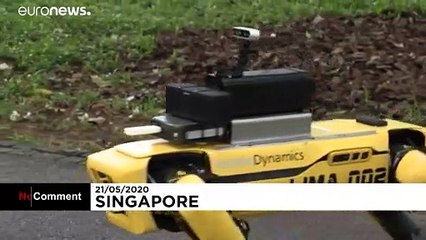 شاهد: "كلب آلي" مراقب وضابط التباعد الاجتماعي في سنغافورة
