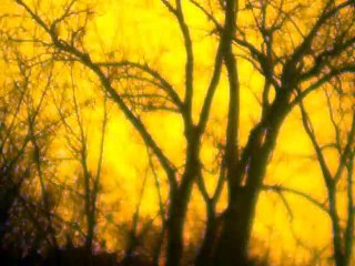 I Heard A Brooklet Gushing vocals