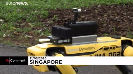 Робот Spot просит соблюдать дистанцию