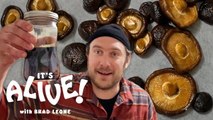 Brad Makes Fermented Mushrooms