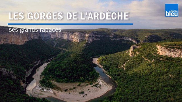 Grandeur_Nature - Les grands rapaces des Gorges de l'Ardèche