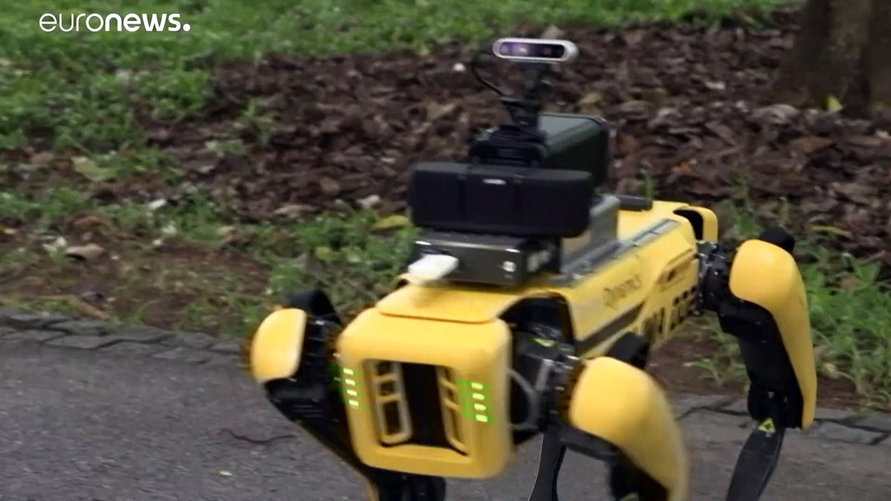 Singapur: Roboter-Hund Spot achtet für die Polizei auf Social Distancing