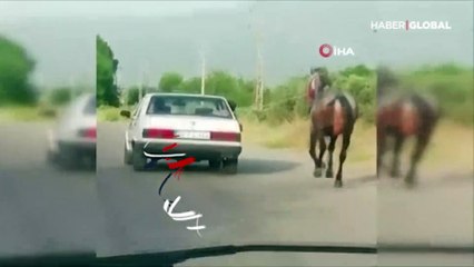Otomobile bağladıkları atı metrelerce koşturdular